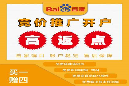 SEM推广优化中的关键词策略——以某品牌为例